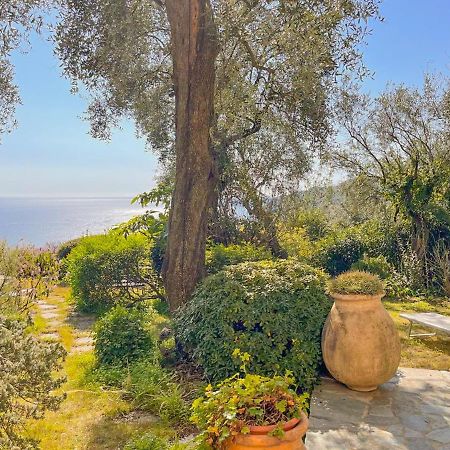 L'Uliveto Di Santa Con Piscina Villa Санта-Маргерита-Лигуре Екстериор снимка