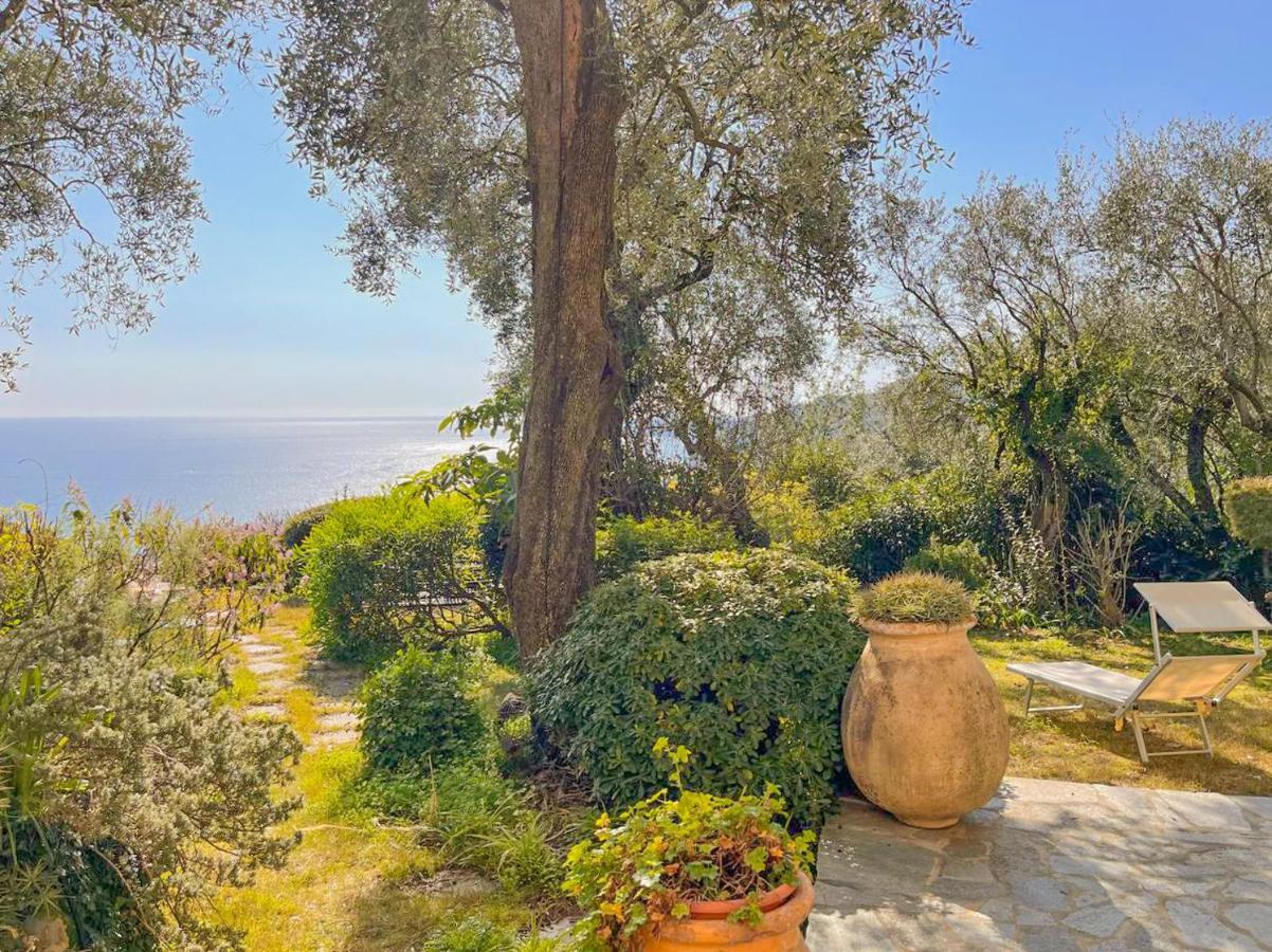L'Uliveto Di Santa Con Piscina Villa Санта-Маргерита-Лигуре Екстериор снимка